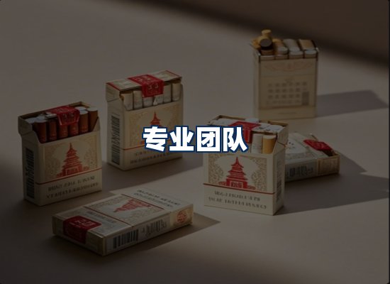 专业团队